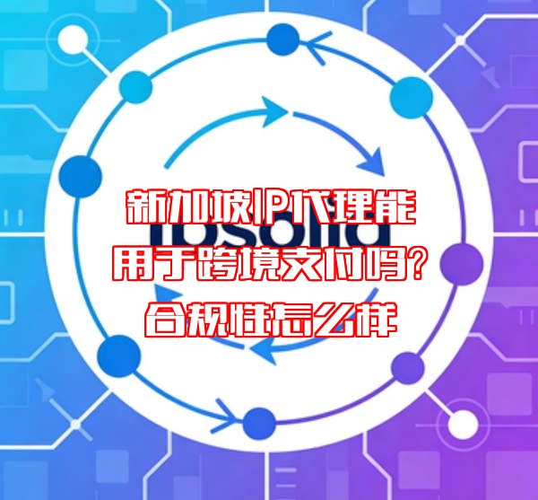 新加坡IP代理能用于跨境支付吗？合规性怎么样