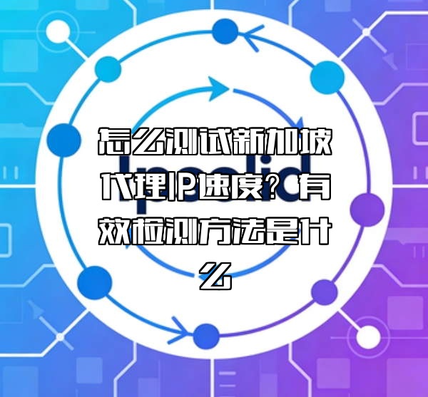 怎么测试新加坡代理IP速度？有效检测方法是什么