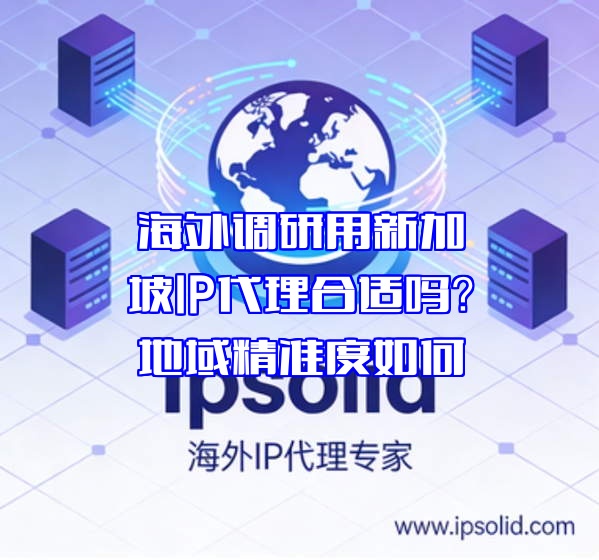 海外调研用新加坡IP代理合适吗？地域精准度如何