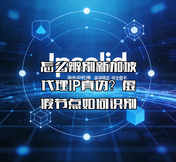 怎么辨别新加坡代理IP真伪？虚假节点如何识别