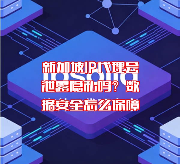 新加坡IP代理会泄露隐私吗？数据安全怎么保障