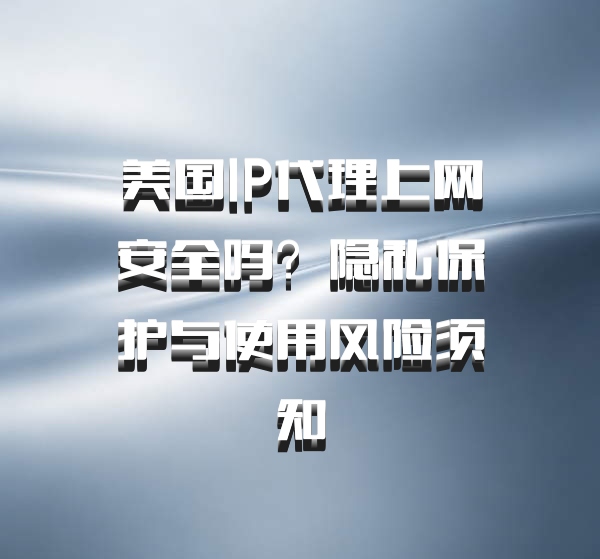 美国IP代理上网安全吗？隐私保护与使用风险须知