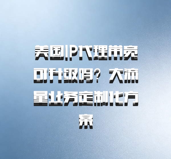 美国IP代理带宽可升级吗？大流量业务定制化方案