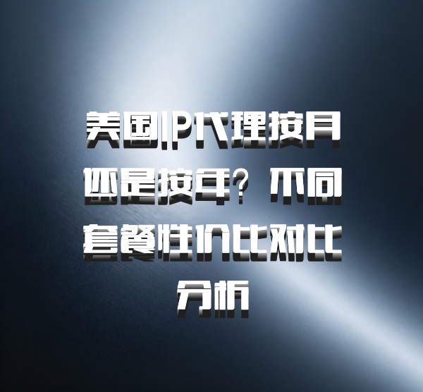 美国IP代理按月还是按年？不同套餐性价比对比分析