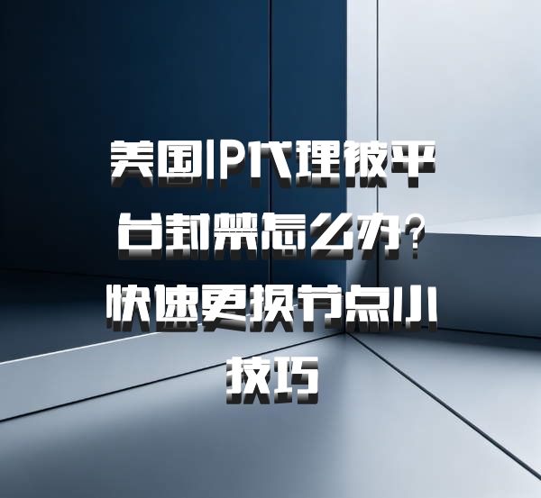美国IP代理被平台封禁怎么办？快速更换节点小技巧